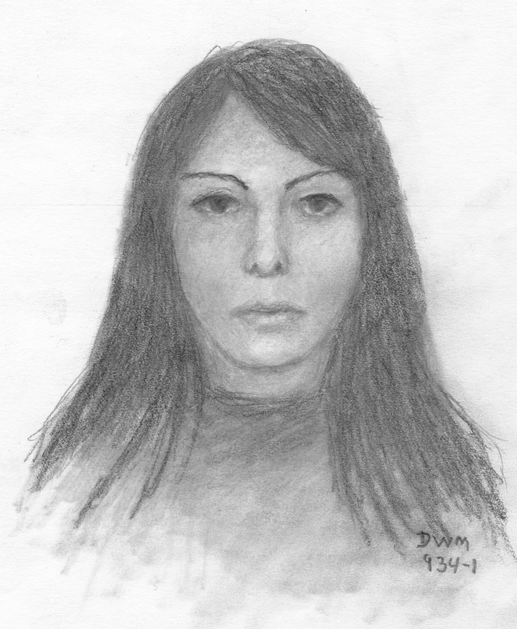Person of Interest Sketch